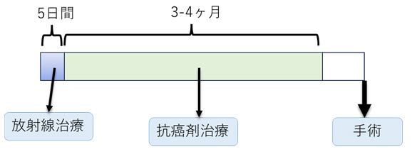 Total neoadjuvant therapyの例