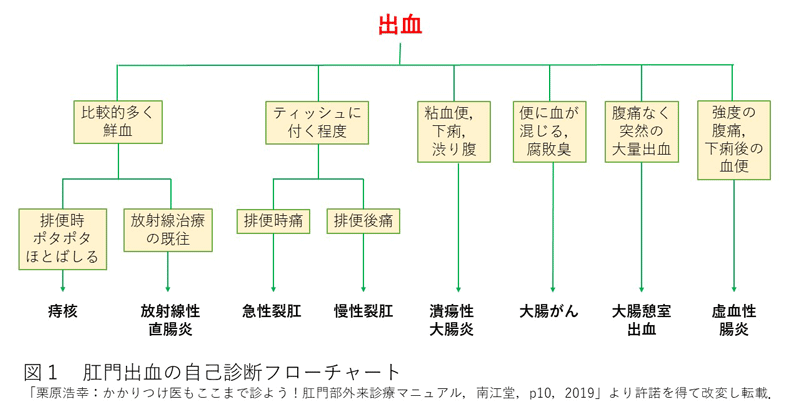 肛門からの出血の状態で 大腸 肛門の病気が分かりますか 市民のみなさまへ 日本大腸肛門病学会