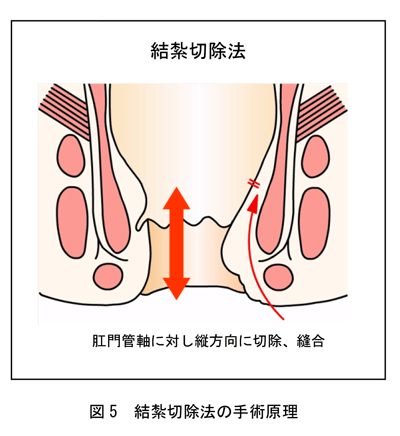 図5