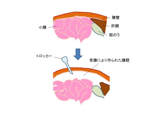 図1