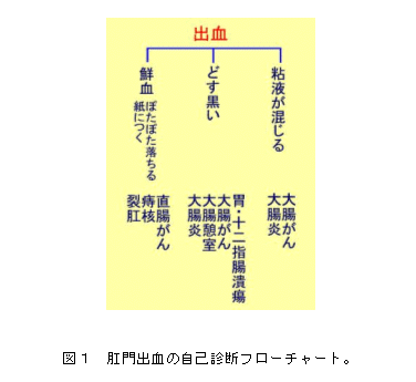 肛門からの出血でわかる大腸肛門疾患 市民のみなさまへ 日本大腸肛門病学会